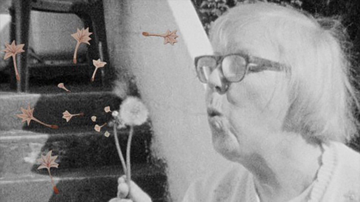 Grandma Lo-fi: The Basement Tapes of Sigrídur Níelsdótti