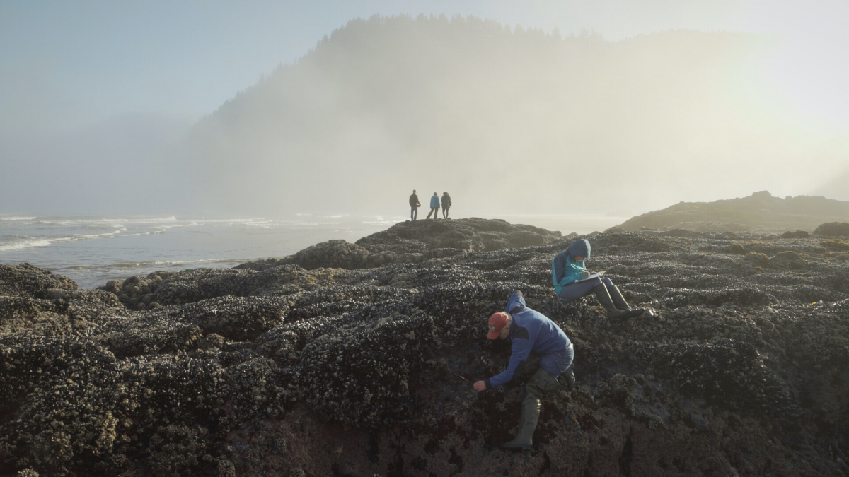 Just Above the Surface of the Earth (For a Coming Extinction)