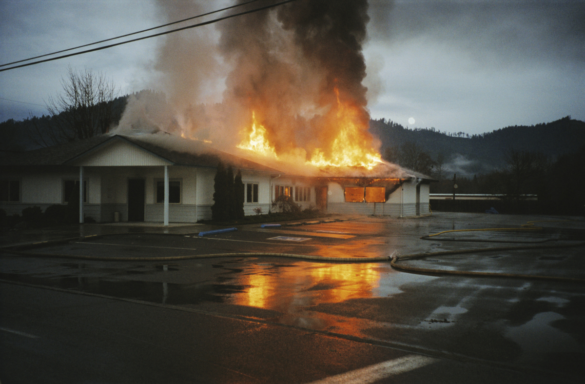If a Tree Falls: A Story of the Earth Liberation Front