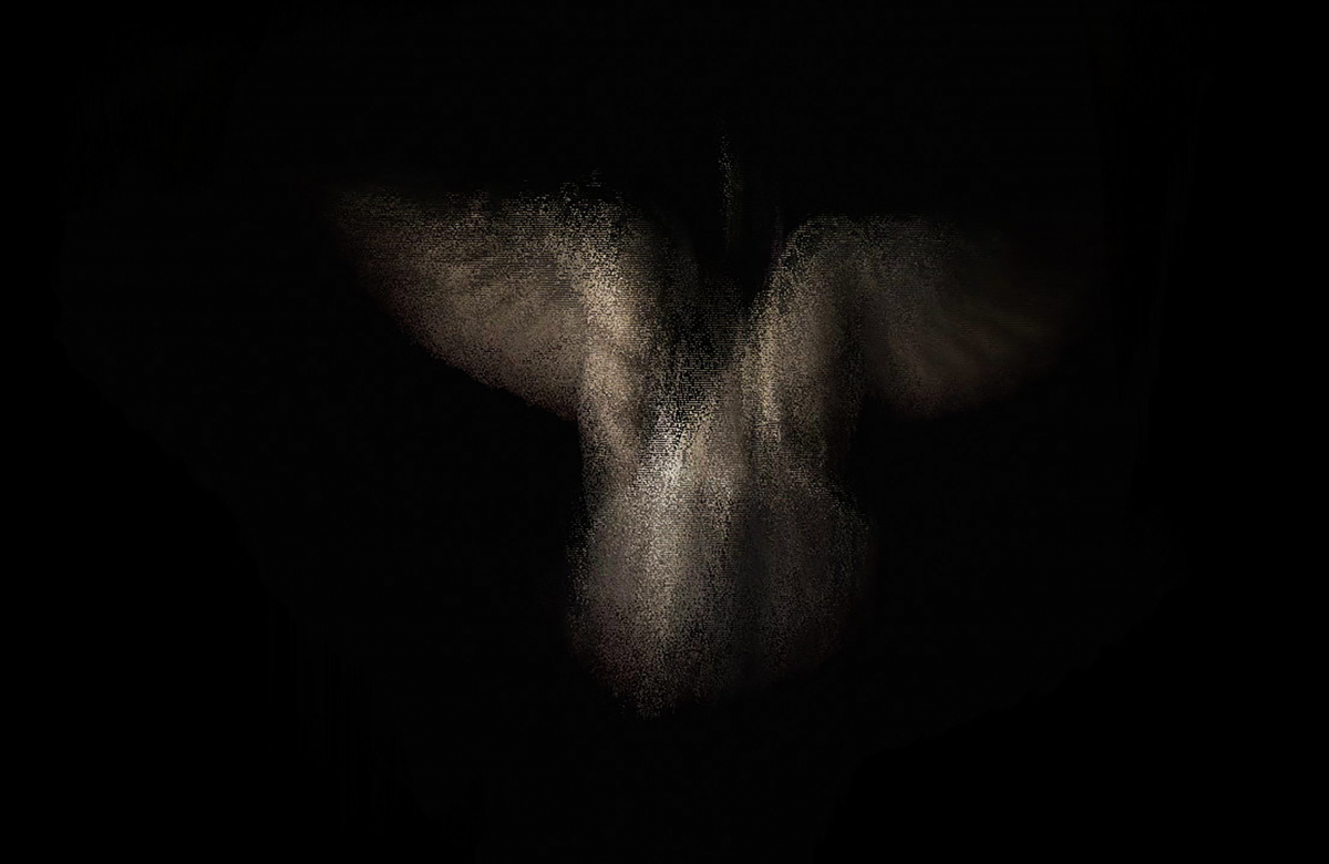 A Pigeon's Song