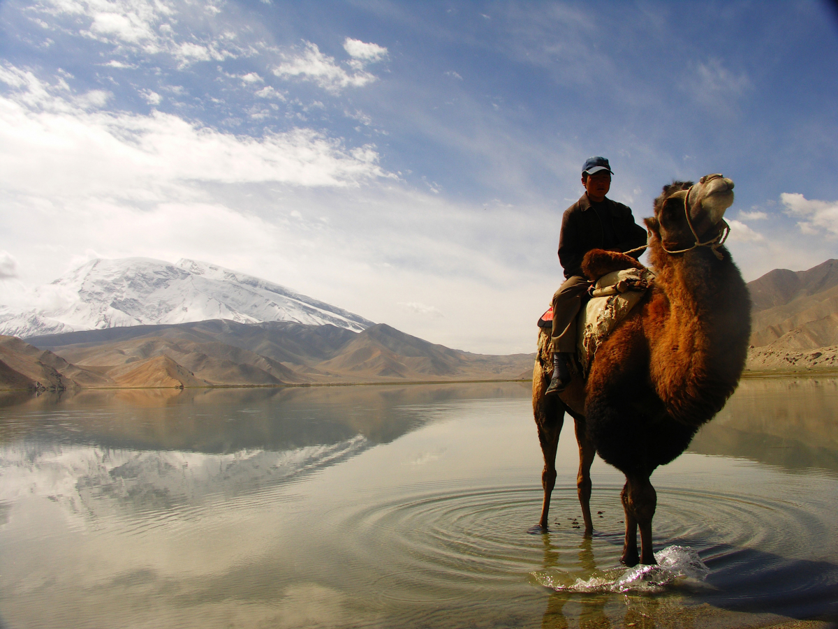 Nomad’s Land