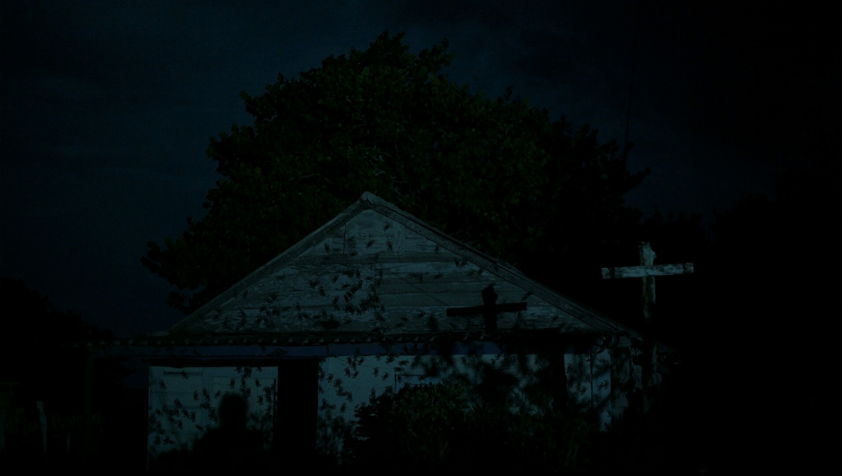 History is Written at Night