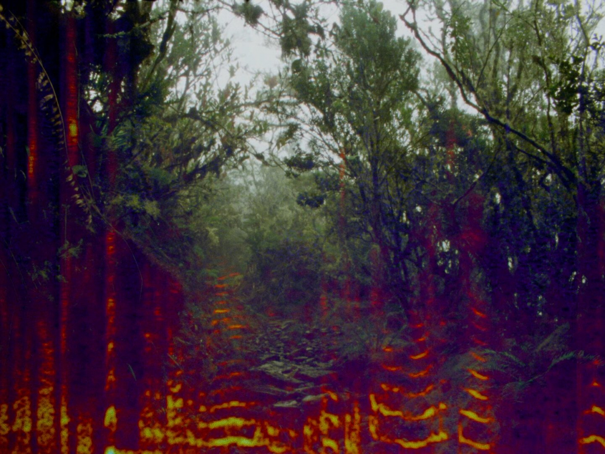 The Soldier's Lagoon