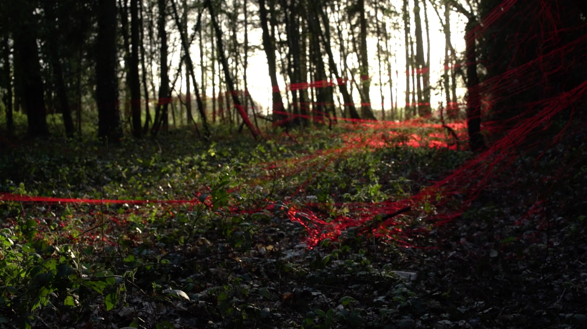 Red Forest