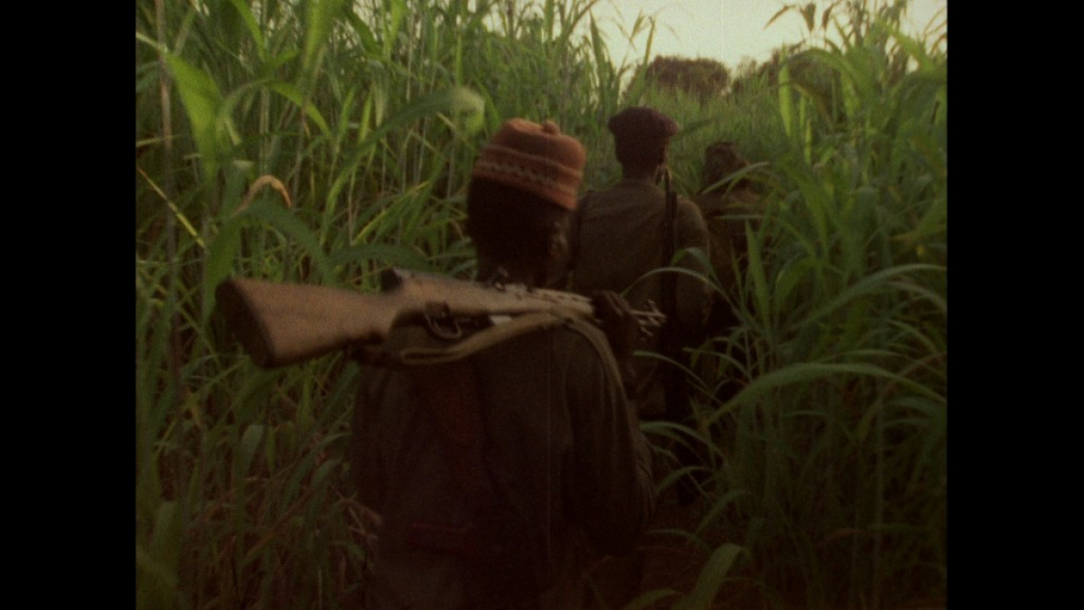 Concerning Violence
