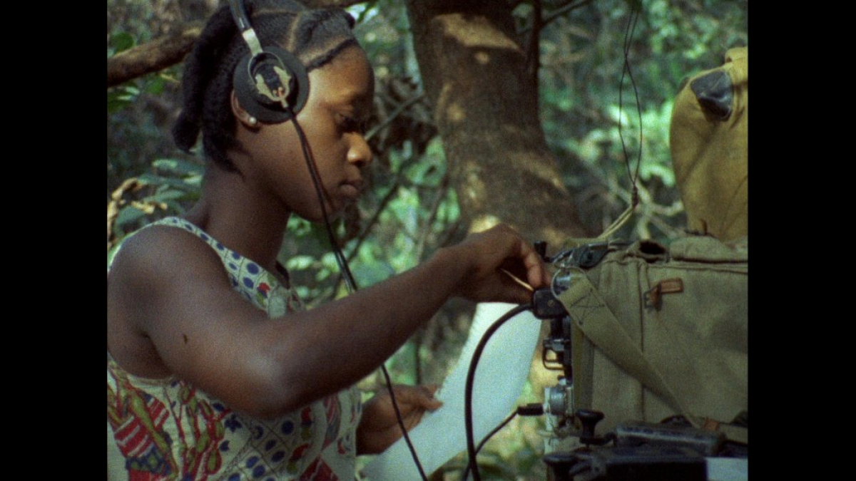 Concerning Violence