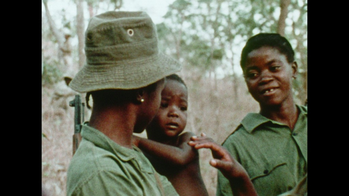 Concerning Violence