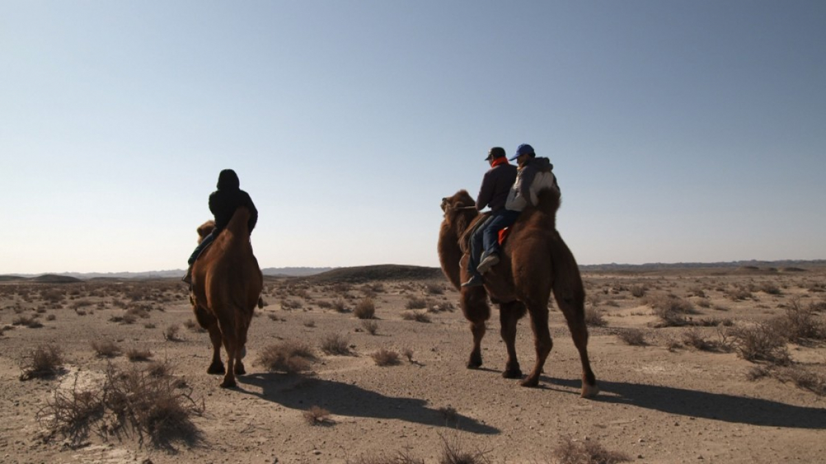 Journey to the Safest Place on Earth