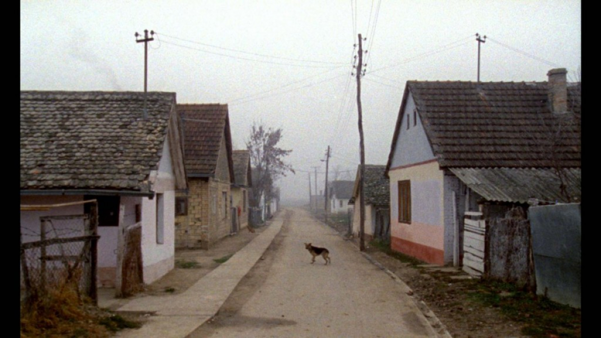 Karpotrotter