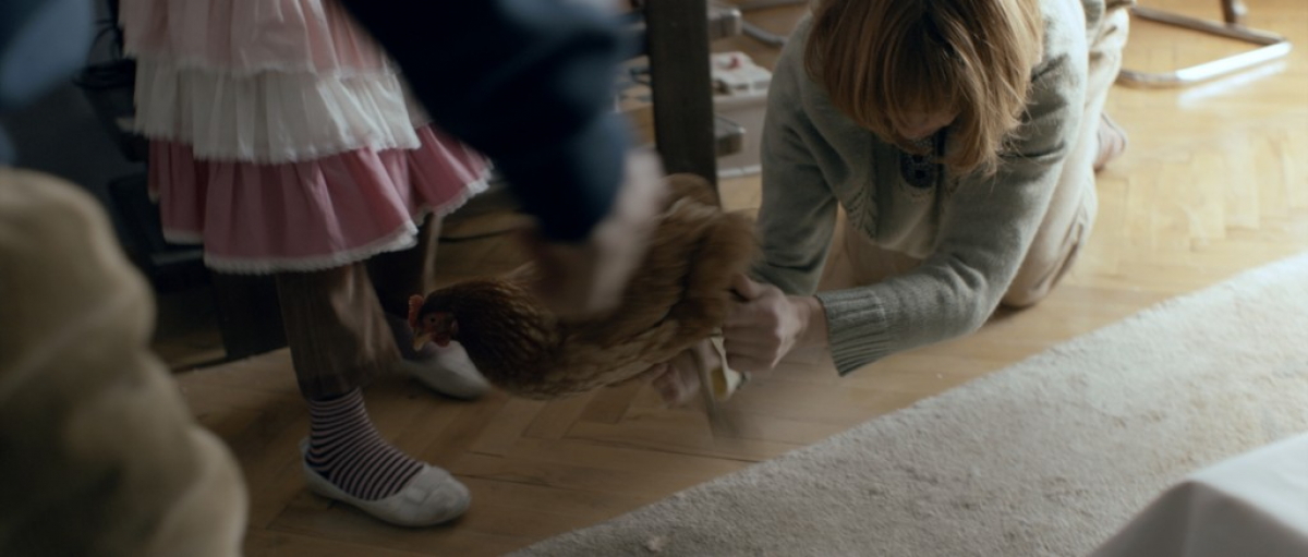 The Chicken