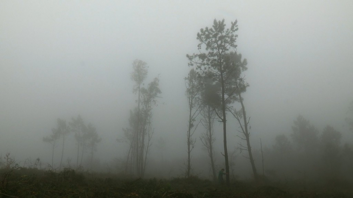 Coast of Death