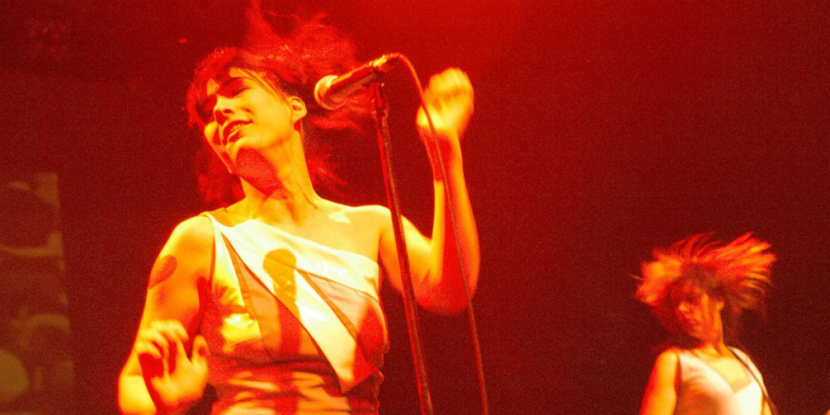 The Punk Singer