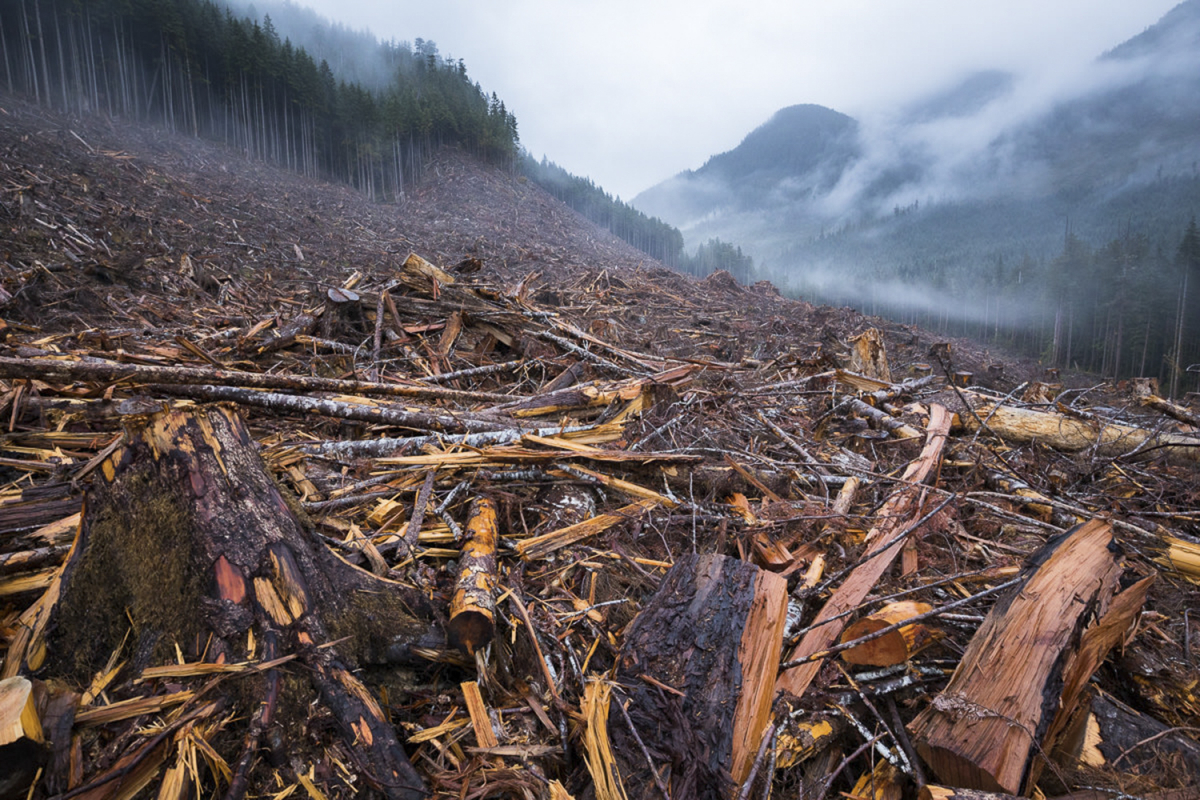Anthropocene: The Human Epoch