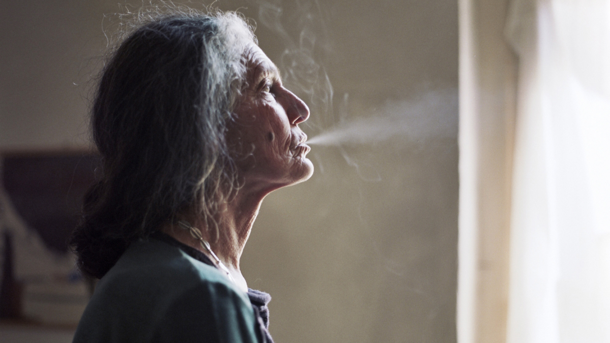 The Disappearance of my Mother