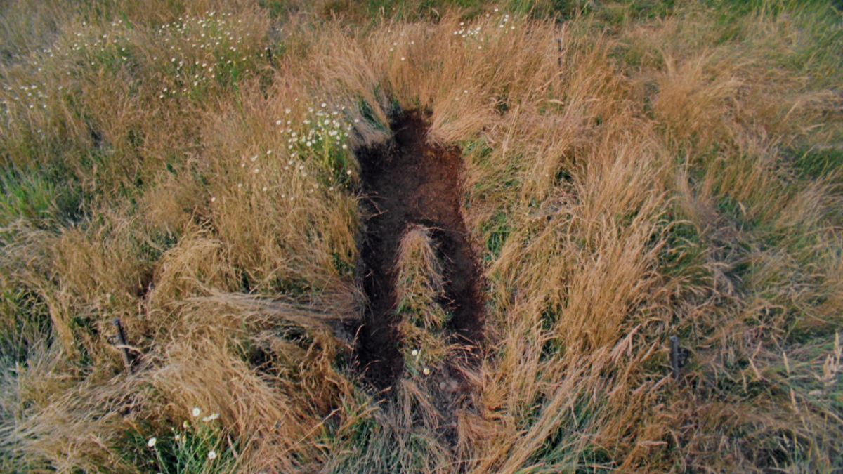 Anteu