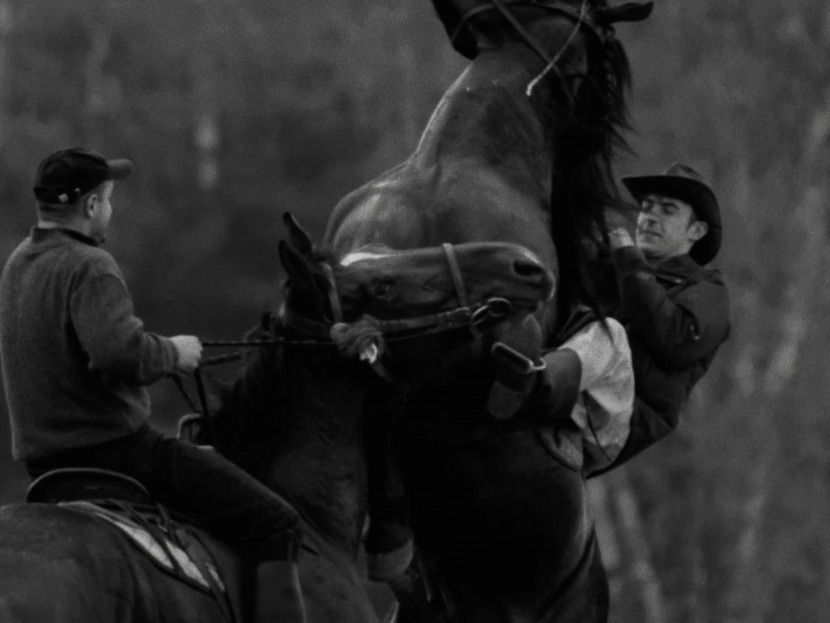 Horse Riders