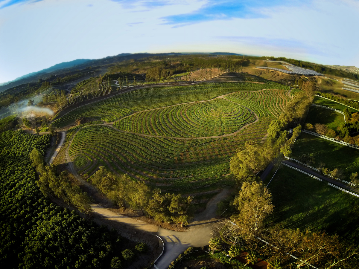 The Biggest Little Farm