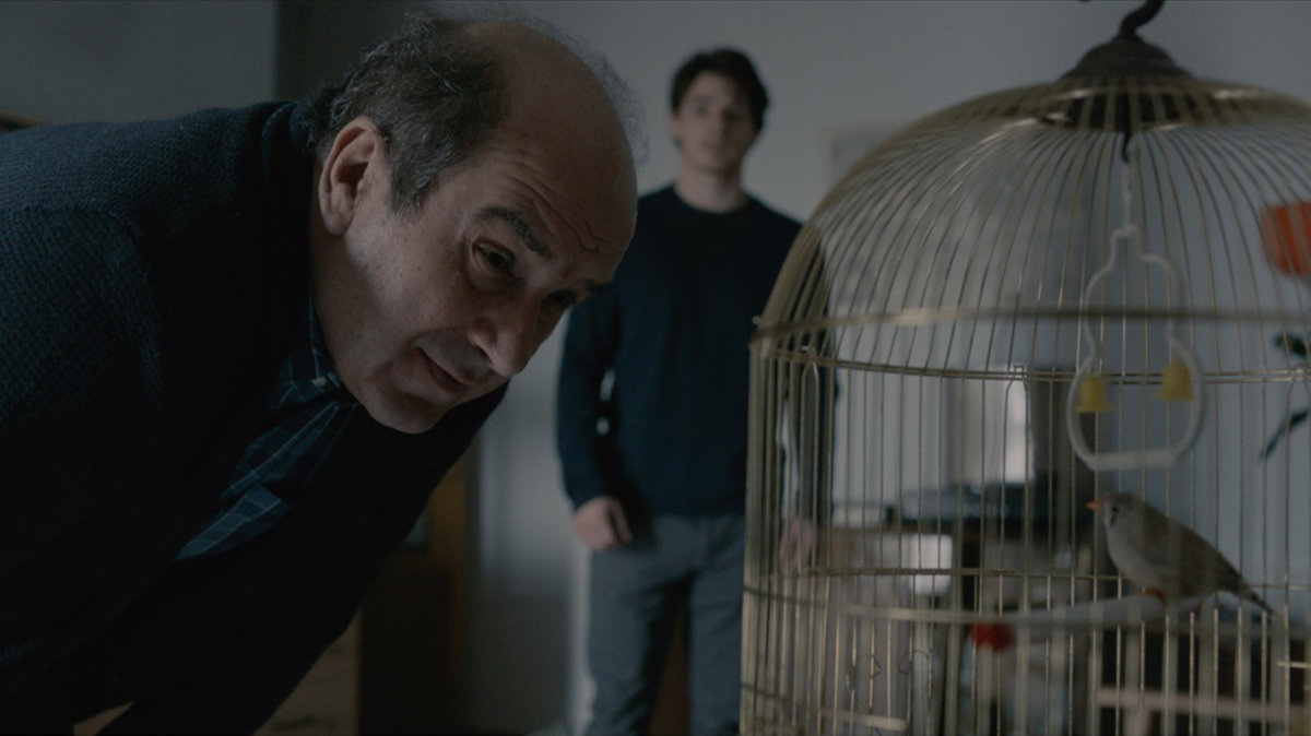 The Visit