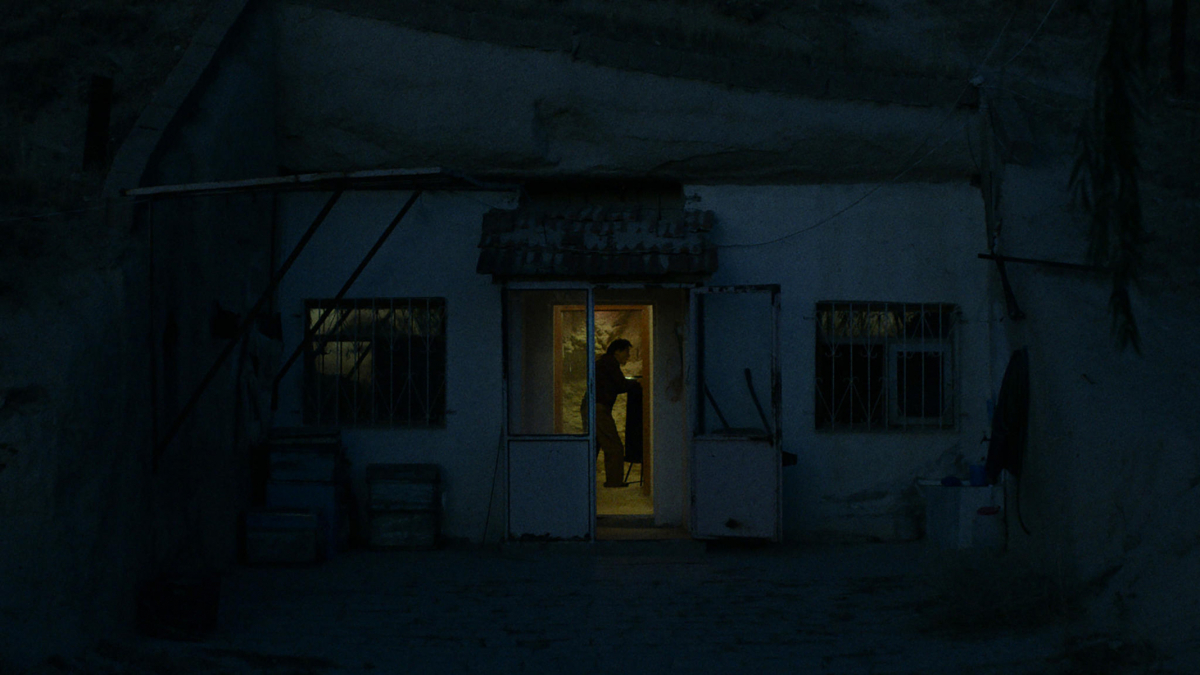 Shadow of Violence