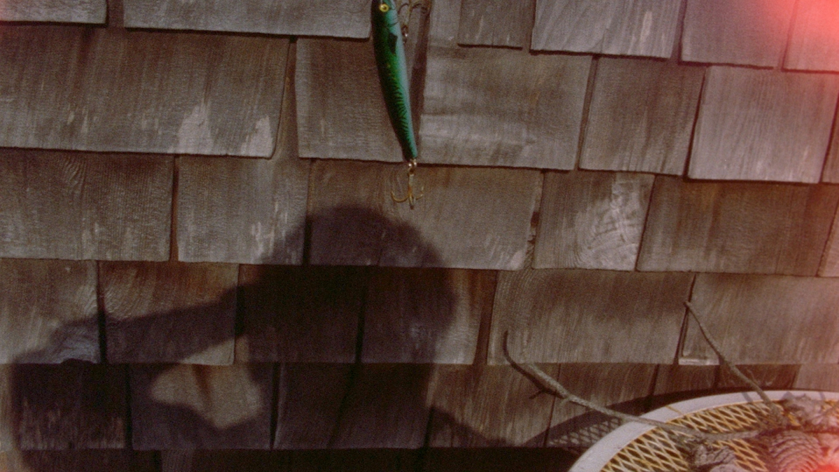 A Month of Single Frames