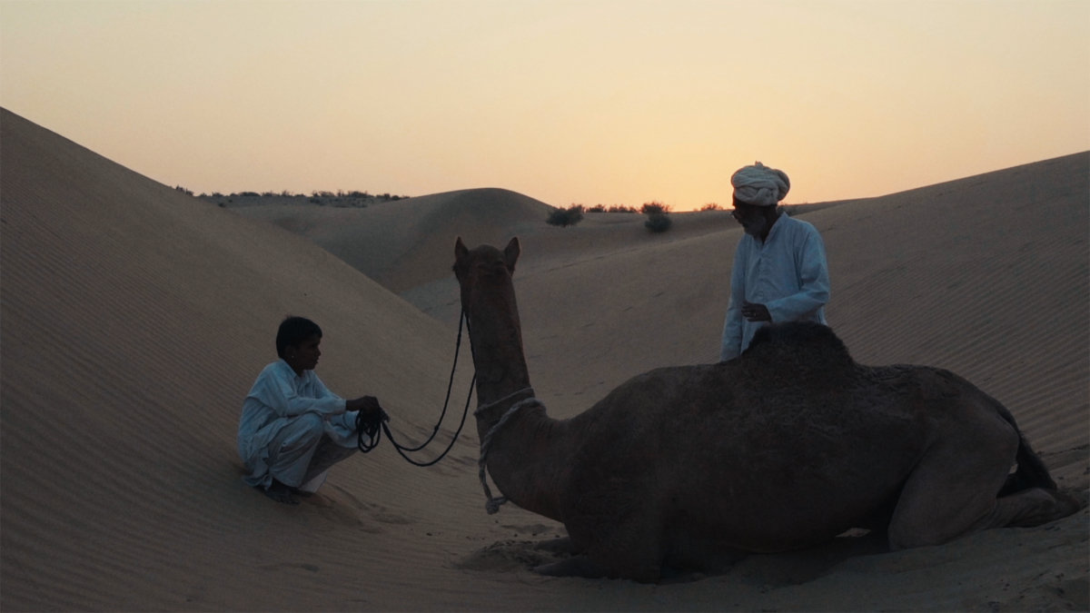 Pearl of the Desert