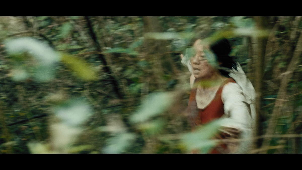 Wild Seed