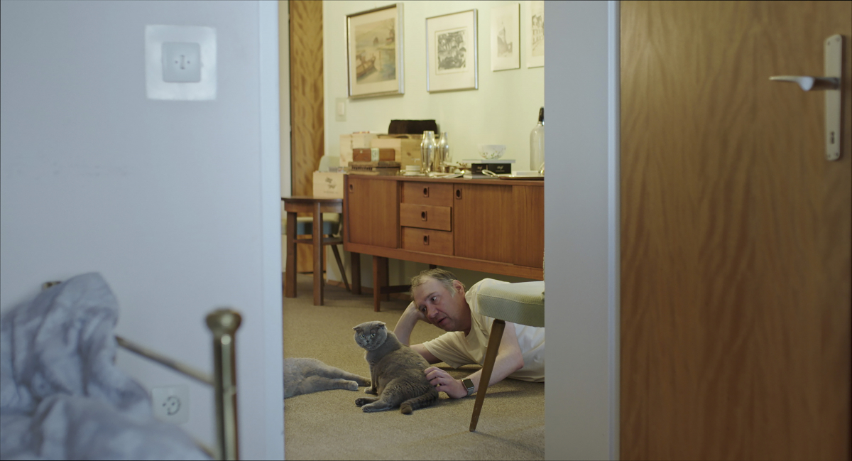 All Cats Are Gray in the Dark