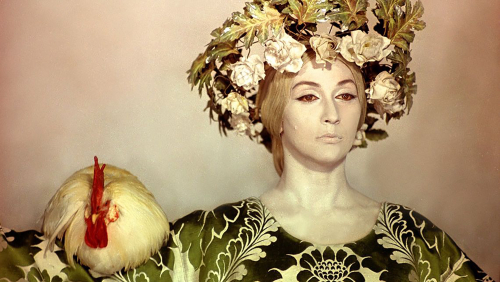 The Color of the Pomegranates