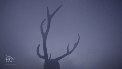 DEER BOY