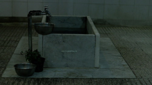 Absent Wound