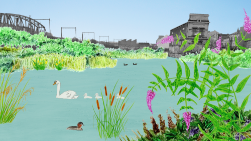 The Wiels Marsh