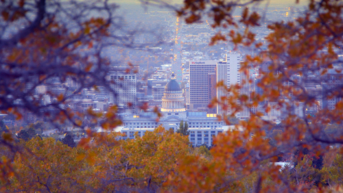 CHURCH & STATE