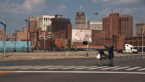 Detroit Wild City
