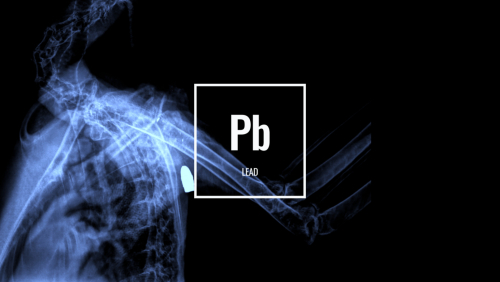 Lead
