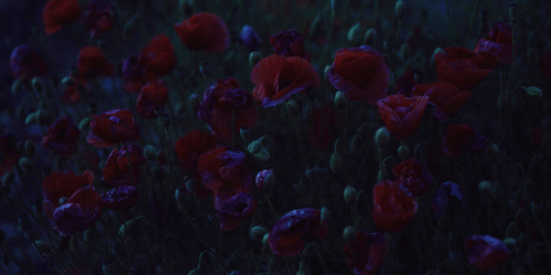 Landscapes of Resistance
