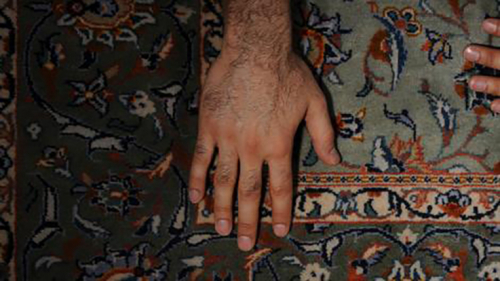 Our Persian Rug