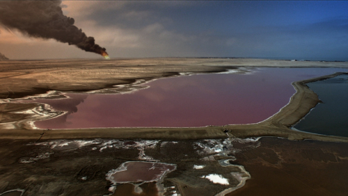 We'll Become Oil