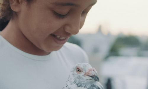 Kash Kash - without feathers we can't live