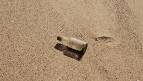 Bottle