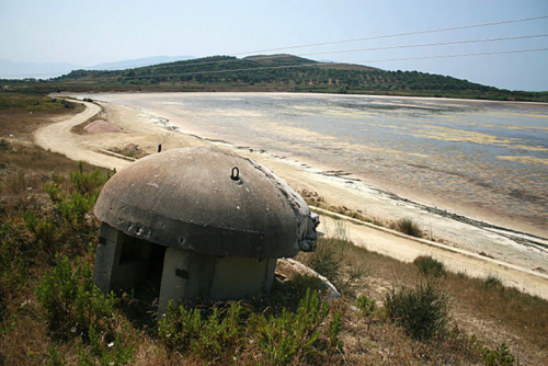 Concrete Mushrooms