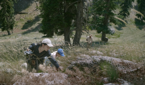 As the Spring Arrives, Water Recalls the Nomads