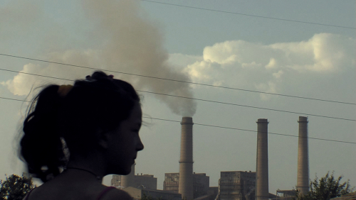 The Kingdom of Coal