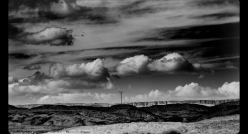 Remains from the Desert