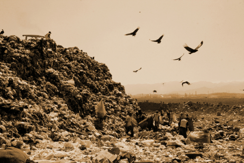 Wasteland