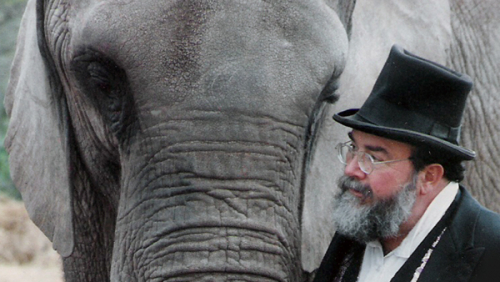 One Lucky Elephant