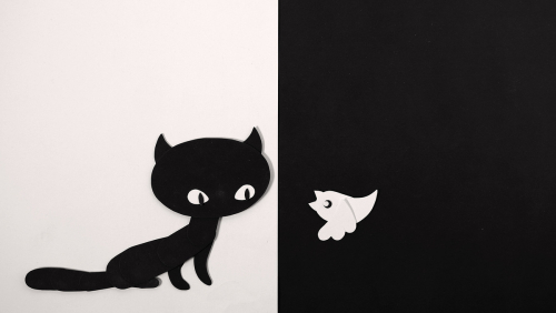Cat & Bird