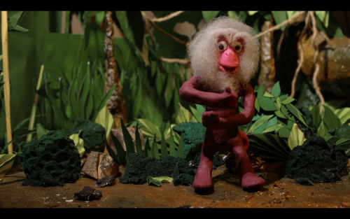 Jungle Jamboree