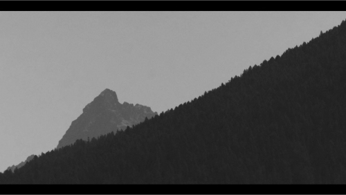 Mountain Flesh