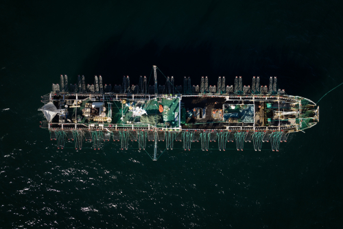 Squid Fleet