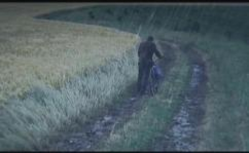 Rain - Regen